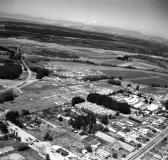 Scout Jamboree - Kaiapoi (11773/11770). 